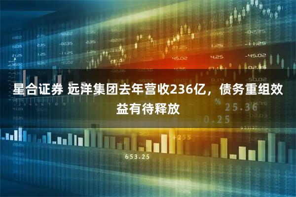 星合证券 远洋集团去年营收236亿，债务重组效益有待释放