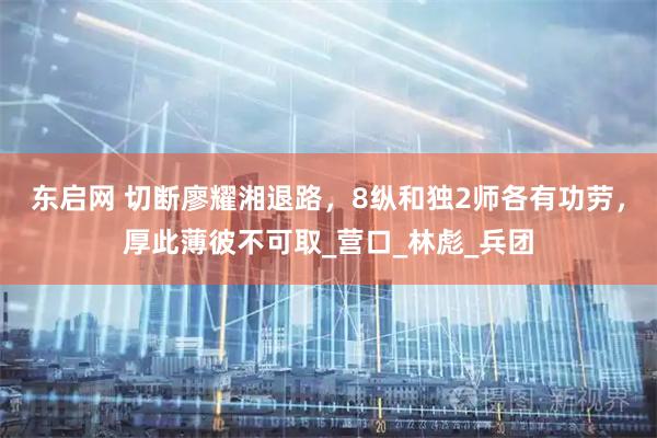 东启网 切断廖耀湘退路，8纵和独2师各有功劳，厚此薄彼不可取_营口_林彪_兵团